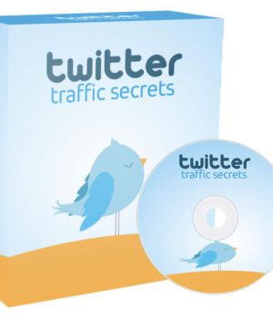 Twitter Traffic Secrets - Call-973-913-4935-Now-For-A-Great-Career-In-Info-Tech-From-AbduSalam-InfoTech-Staffing